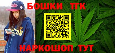 шишки Кингисепп