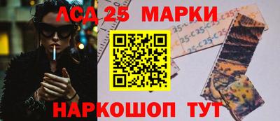 шишки Кингисепп