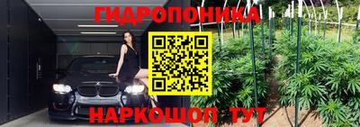 тгк Кимры