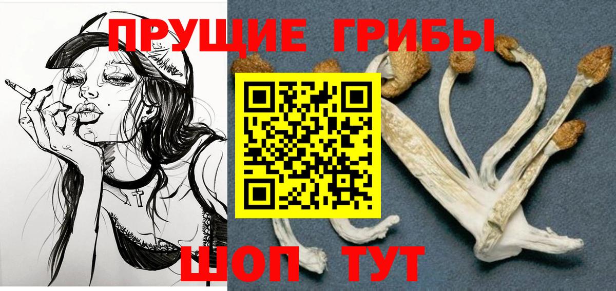 Псилоцибиновые грибы мухоморы  Галлюциногенные грибы прущие грибы  Кисловодск  Вход с VPN 